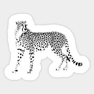 Cheetah Sticker